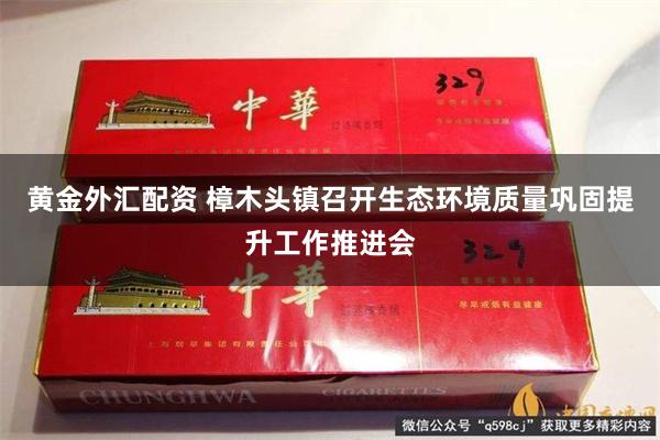 黄金外汇配资 樟木头镇召开生态环境质量巩固提升工作推进会