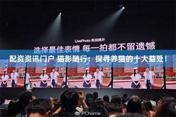 配资资讯门户 猫影随行：探寻养猫的十大益处！