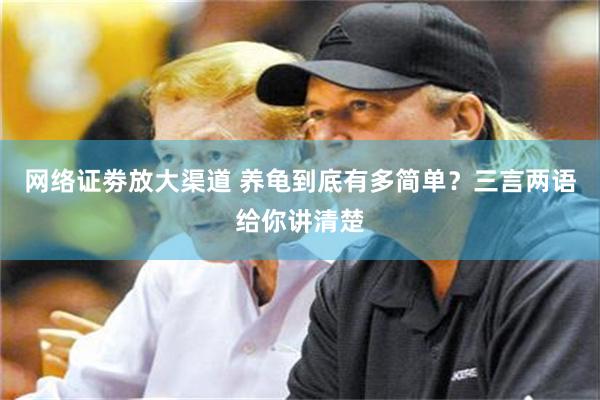 网络证劵放大渠道 养龟到底有多简单？三言两语给你讲清楚