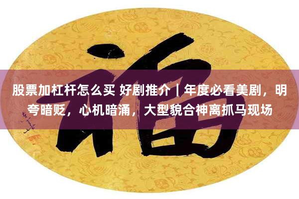 股票加杠杆怎么买 好剧推介｜年度必看美剧，明夸暗贬，心机暗涌，大型貌合神离抓马现场