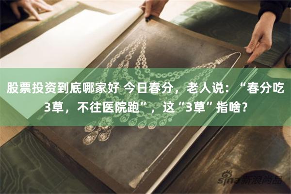 股票投资到底哪家好 今日春分，老人说：“春分吃3草，不往医院跑”，这“3草”指啥？