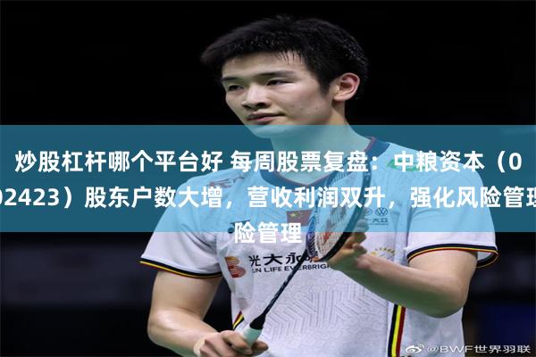 炒股杠杆哪个平台好 每周股票复盘：中粮资本（002423）股东户数大增，营收利润双升，强化风险管理
