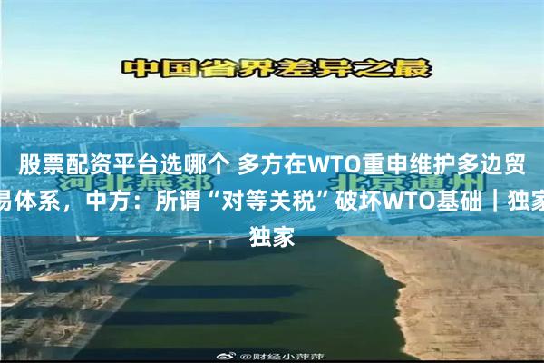 股票配资平台选哪个 多方在WTO重申维护多边贸易体系，中方：所谓“对等关税”破坏WTO基础｜独家