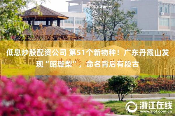 低息炒股配资公司 第51个新物种！广东丹霞山发现“昭璇梨”，命名背后有段古