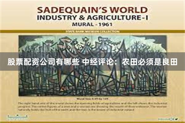 股票配资公司有哪些 中经评论：农田必须是良田